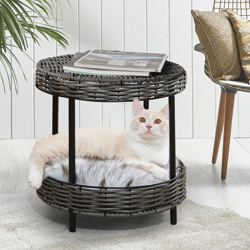 PaWz Rattan Pet Bed Elevated Raised - Image 6