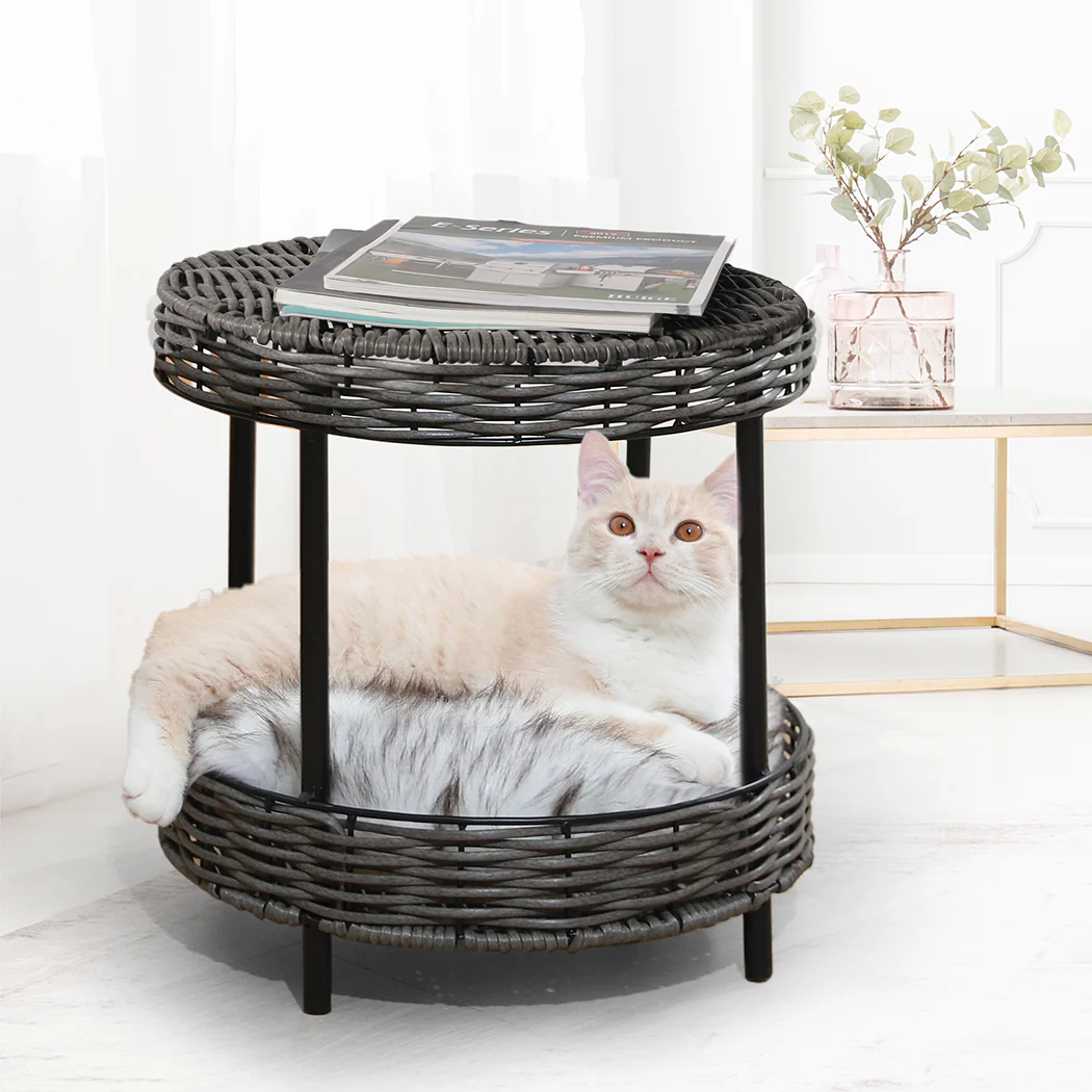 PaWz Rattan Pet Bed Elevated Raised - Image 7